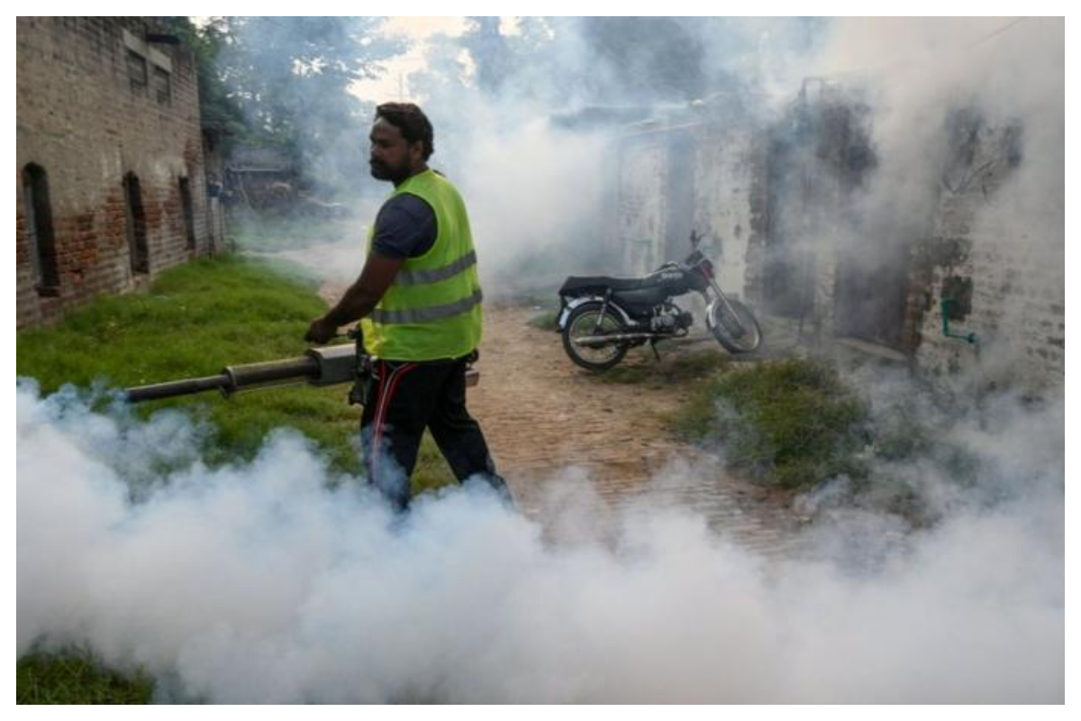 خیبرپختونخوا میں ڈینگی خدشات، محکمہ صحت نے بچاؤ کے لیے اقدامات تیز کر دیئے