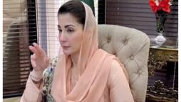 خسرہ سے بچوں کی ہلاکتوں پر وزیراعلیٰ پنجاب کا نوٹس
