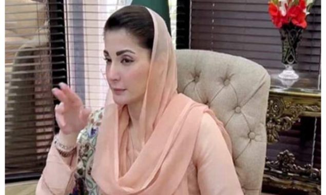 خسرہ سے بچوں کی ہلاکتوں پر وزیراعلیٰ پنجاب کا نوٹس