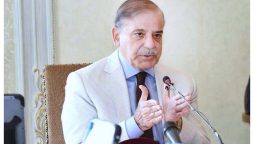 پاکستان دنیا میں قیام امن اور انصاف کے لئے پر عزم ہے، وزیراعظم
