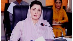 وزیراعلٰی پنجاب