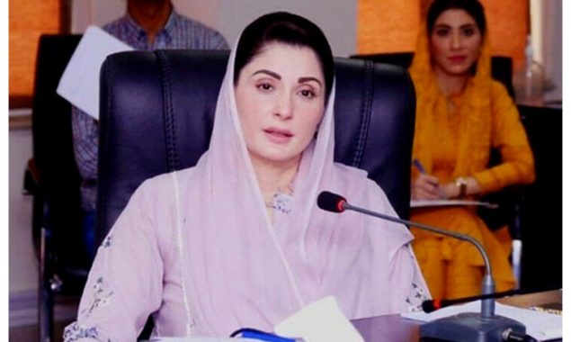 وزیراعلٰی پنجاب