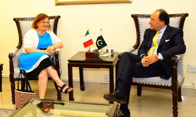 وفاقی وزیر اورنگزیب