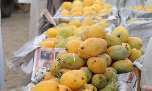 پاکستان سے آم کی برآمدات شروع، پہلی کھیپ دبئی روانہ