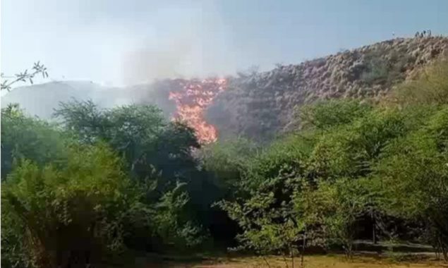 سالٹ رینج کھیوڑہ