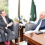 خواجہ آصف کی فرانسیسی سفیر سے ملاقات، مسلح افواج کے درمیان تعاون بڑھانے پر زور