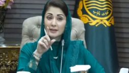 وزیراعلٰی پنجاب