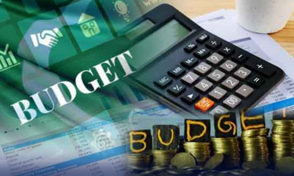 بجٹ 2024-25؛ ترقیاتی بجٹ کی تفصیلات سامنے آگئیں