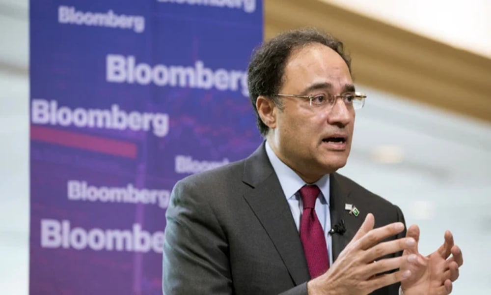 وزیر خزانہ کا ڈیجیٹل گورننس کے فروغ پر زور