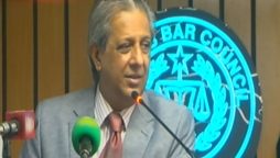 وفاقی وزیر قانون