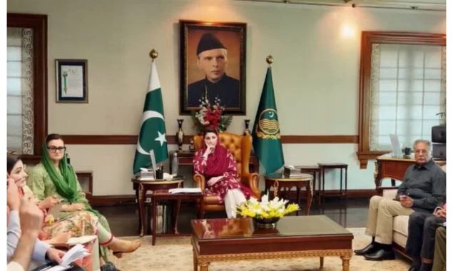 بجلی چوروں کے خلاف کریک ڈاؤن تیز کیا جائے، وزیر اعلیٰ پنجاب