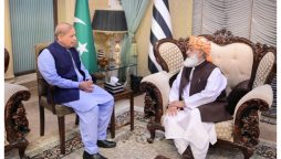 وزیراعظم کی مولانا فضل الرحمان سے ملاقات، مسائل کے حل کے لیے کمیٹی تشکیل دینے کی تجویز