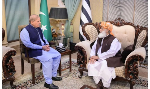 وزیراعظم کی مولانا فضل الرحمان سے ملاقات، مسائل کے حل کے لیے کمیٹی تشکیل دینے کی تجویز