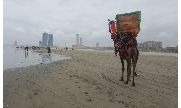 کمشنر کراچی نے سمندر میں نہانے پر پابندی عائد کردی