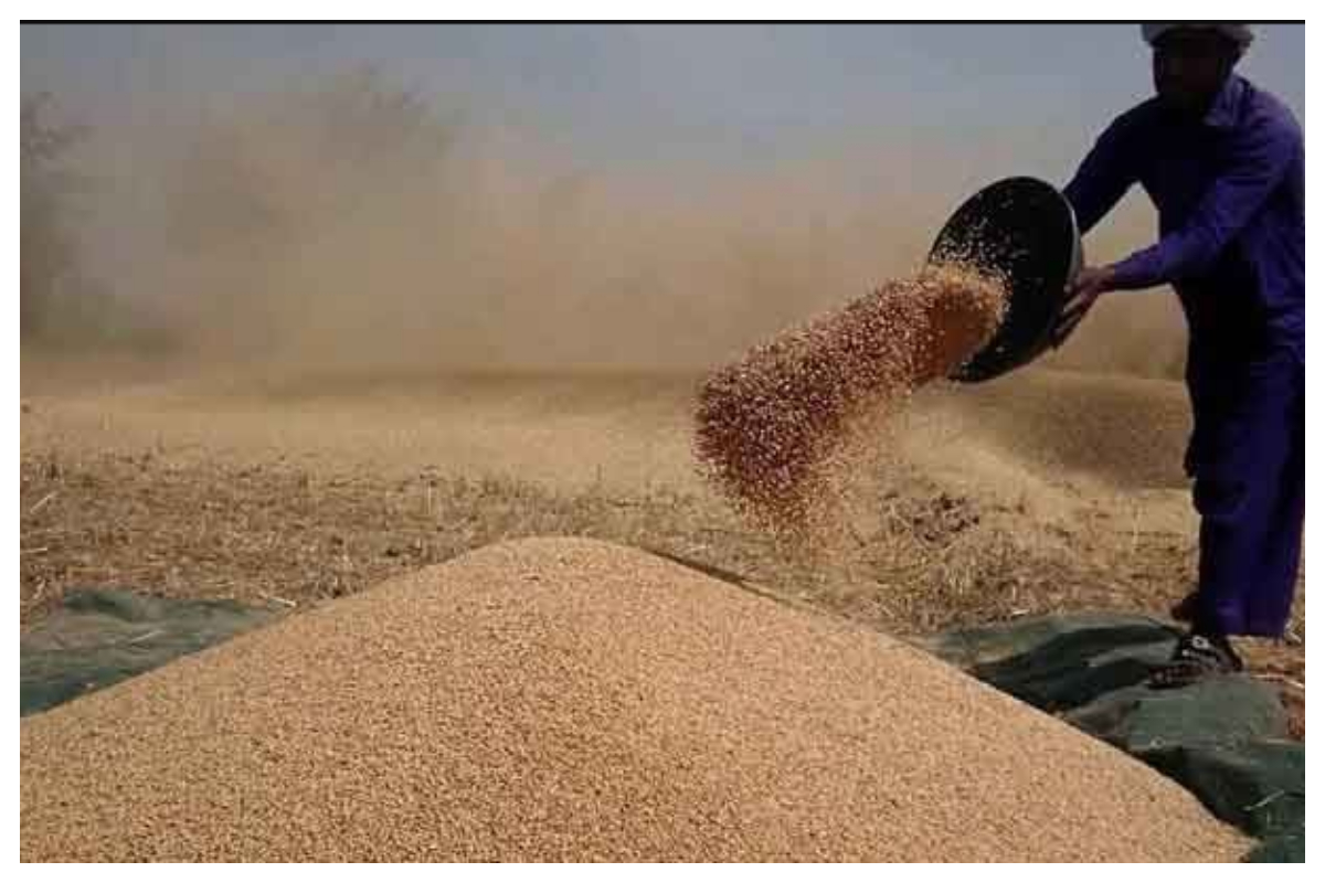 گندم کی برآمد کے لئے تاجروں کا وزیراعظم کو خط