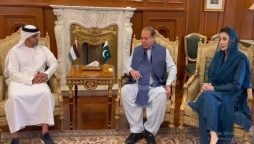 وزیر اعلیٰ پنجاب کا یو اے ای کی جانب سے 10 ارب ڈالر سرمایہ کاری کا خیر مقدم