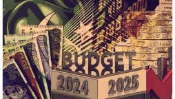 پنجاب کے ترقیاتی بجٹ کا حجم سات سو ارب روپے تک متوقع