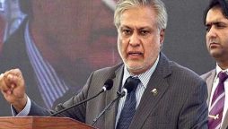 پاکستان، ترکیہ کئی علاقائی، عالمی معاملات پریکساں موقف رکھتے ہیں، اسحاق ڈار
