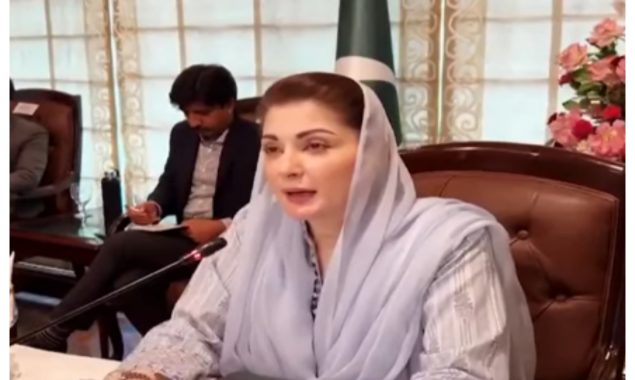 قدرتی آفات سے نمٹنے کے لیے مؤثر منصوبہ بندی کی ضرورت ہے، مریم نواز
