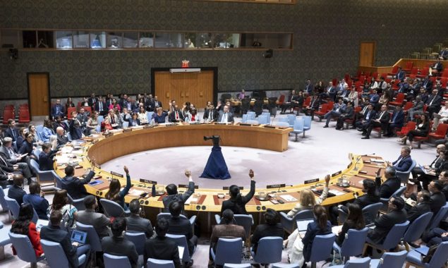 سلامتی کونسل