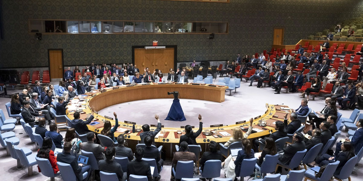 سلامتی کونسل