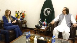 غیر ملکی سرمایہ کاری کے لئے سازگار ماحول فراہم کیا جائے گا، علی امین گنڈاپور