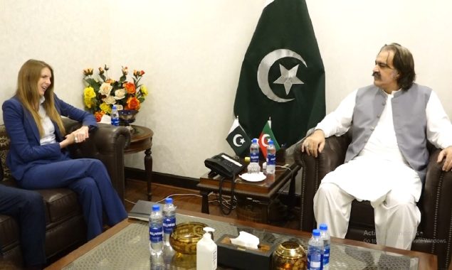 غیر ملکی سرمایہ کاری کے لئے سازگار ماحول فراہم کیا جائے گا، علی امین گنڈاپور