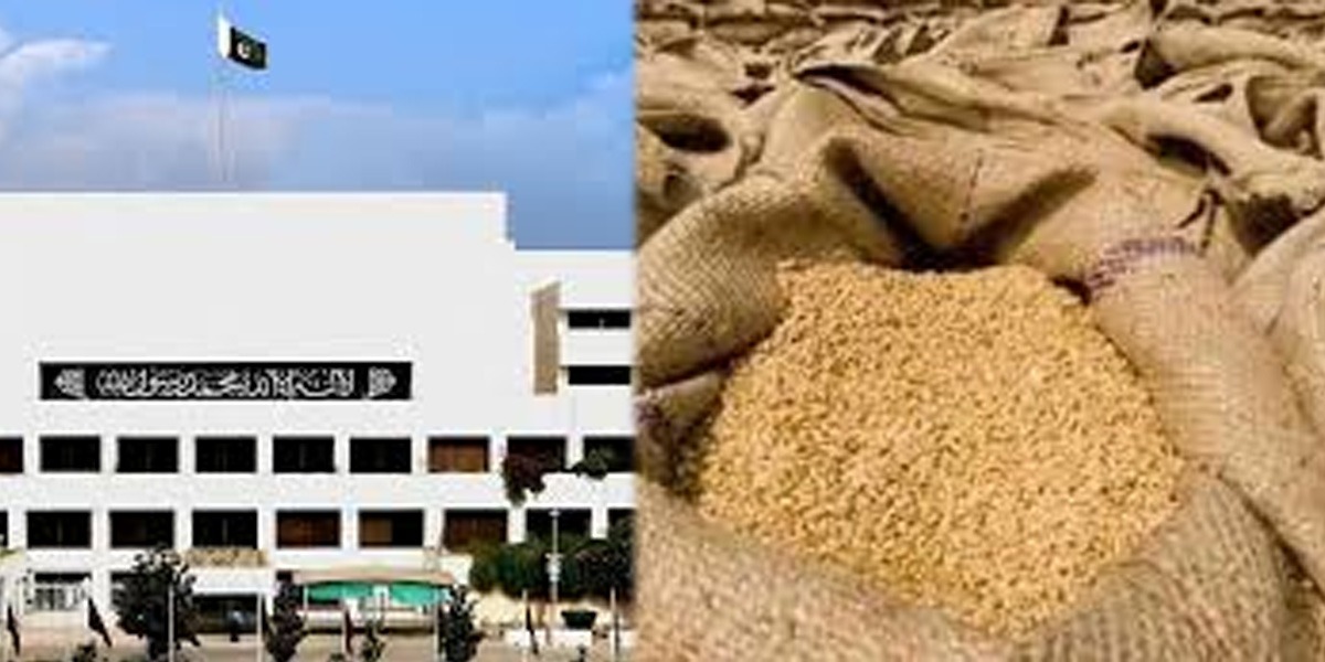 گندم کا معاملہ