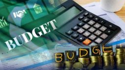 بجٹ 2024-25؛ ترقیاتی بجٹ کی تفصیلات سامنے آگئیں