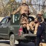 رینجرز اور ایف سی کی تنخواہیں پاک فوج کے برابر کرنے کا فیصلہ