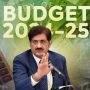سندھ کا مالی سال 2024-25 کا بجٹ ٹیکس فری رکھنے کا فیصلہ