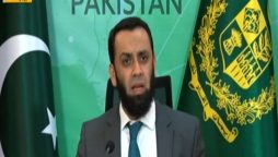 وفاقی وزیر اطلاعات