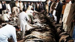 کراچی میں قربانی کی کھالیں جمع کرنے کے حوالے سے قواعد و ضوابط جاری