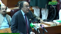 وفاقی وزیرخزانہ