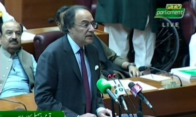 وفاقی وزیرخزانہ