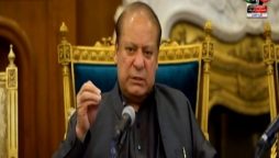 قائد مسلم لیگ ن و صدر