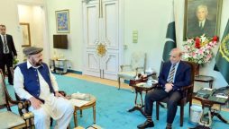 گلگت بلتستان؛ وزیراعظم کے ترقیاتی منصوبے پر عمل درآمد کے لیے اسٹیرنگ کمیٹی تشکیل