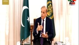 چینی میڈیا کو انٹرویو