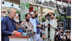 آئی پی پیز کا دھندا طویل عرصے سے چل رہا ہے، حافظ نعیم
