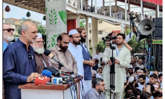 آئی پی پیز کا دھندا طویل عرصے سے چل رہا ہے، حافظ نعیم