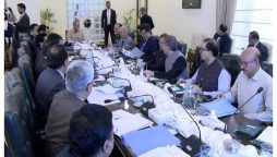 گندم اور دیگر فصلوں کی پیداوار میں اضافے کے لئے مؤثر اقدامات کئے جائیں، وزیراعظم