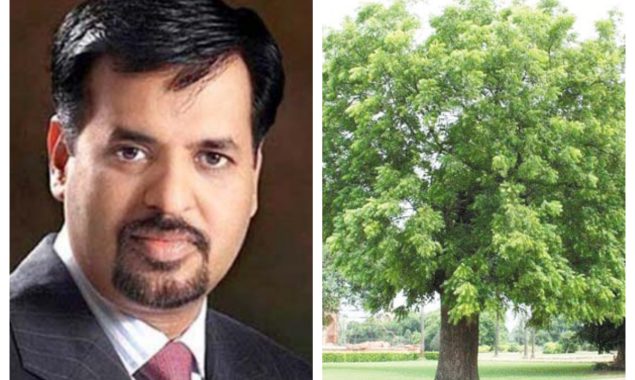 صدقہ جاریہ کرنا ہے تو دو درخت لگائیں، مصطفیٰ کمال