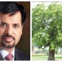 صدقہ جاریہ کرنا ہے تو دو درخت لگائیں، مصطفیٰ کمال