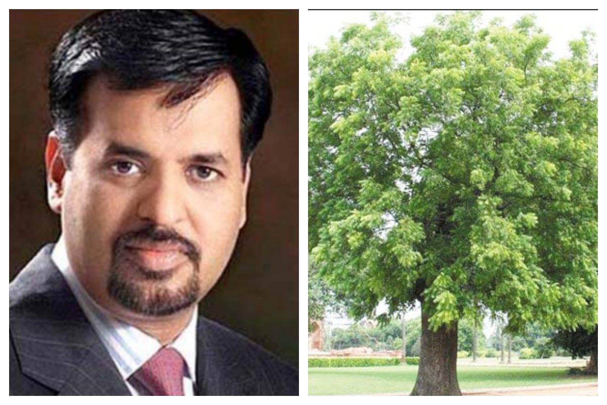 صدقہ جاریہ کرنا ہے تو دو درخت لگائیں، مصطفیٰ کمال