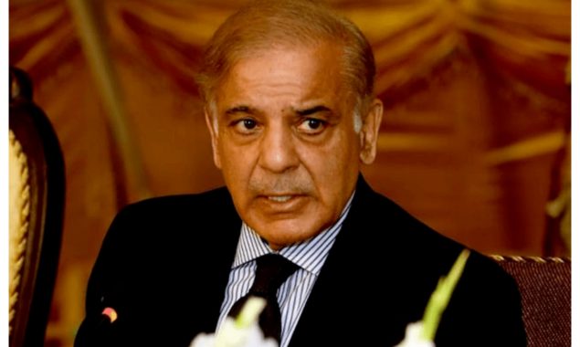 عوام مہنگائی میں کمی، اپنے مسائل کا حل اور معاشی بہتری چاہتے ہیں، وزیراعظم
