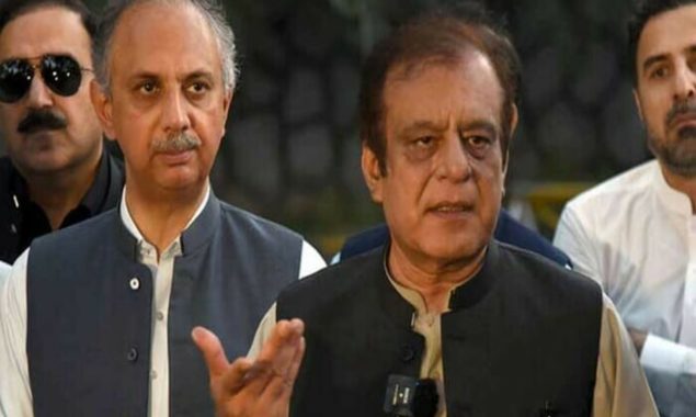 عمر ایوب، شبلی فراز