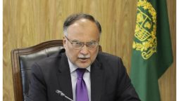 حکومت نے فچ ریٹنگ کی رپورٹ کو مسترد کردیا