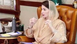 اطالوی سرمایہ کار پنجاب آئیں، ہر ممکن سہولت دیں گے، مریم نواز