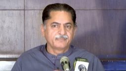 جس نے پاکستان کو نقصان پہنچایا اسے ہیرو بنایا جارہا ہے، جاوید لطیف