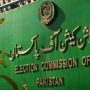 الیکشن کمیشن نے عام انتخابات 2024 کی رپورٹ جاری کردی